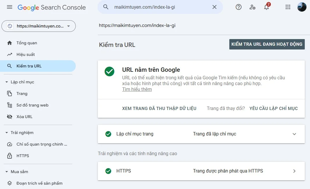Index là gì? Vì sao Google không index bài viết của bạn? 2 Index là gì? Vì sao Google không index bài viết của bạn?