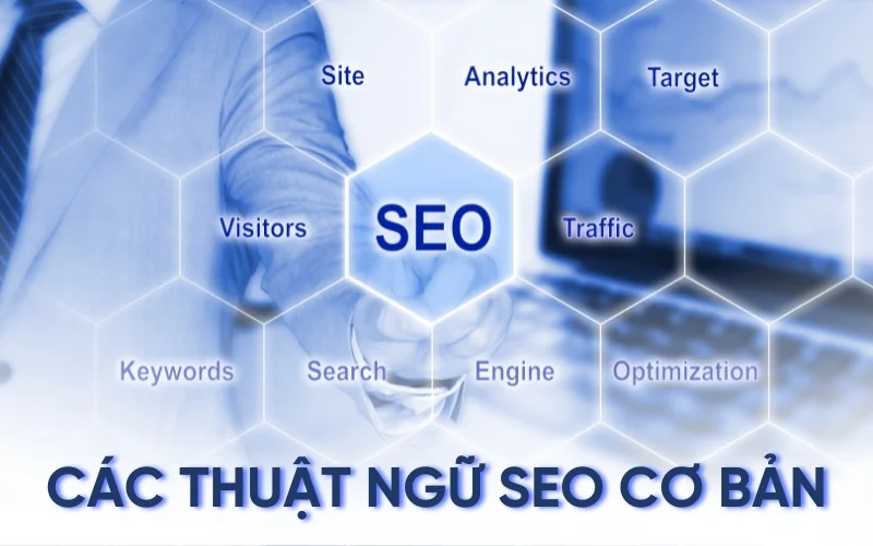19 Thuật ngữ SEO cơ bản cho người mới bắt đầu
